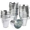 25 Pack 4.5 Inch Mini Metal Buckets, Metal Buckets with Handle, Easter Bucket,Pencil Holder and Flower Pots, Used to Carry, Store, or Even Plant, by GENHAKON. view 1