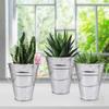 25 Pack 4.5 Inch Mini Metal Buckets, Metal Buckets with Handle, Easter Bucket,Pencil Holder and Flower Pots, Used to Carry, Store, or Even Plant, by GENHAKON. view 4