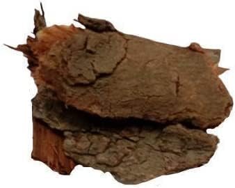 fall Neem Chhal - Neem Chaal - Neem Chhal - Neem Bark - -Azadirachta Indica (100 GMS)