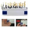 29 Colors Teeth Whitening Shade Guide 3D Dental Comparing Resin Model Toothguide Colorimetric Plate view 3