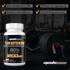 Turkesterone Supplement 1200mg Ajuga Turkestanica Extract (2 Packages)- High Strength, Standardized to 20% Turkesterone, Muscle Growth & Strength - Vegan, Free from Soy, Additives view 3