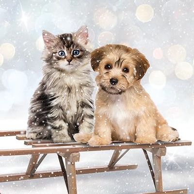 20 Napkins Christmas Cat and Dog on Sleigh as Table Decoration Paper Napkins with Motif Also for Decoupage and Decoupage 33 x 33 cm