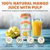 Vinut 100% Mango Juice with Pulp (16.57 fl oz, Pack of 12), No Sugar Added, All Nature Mango Juice, Not From Concentrate, Gluten Free, GMO-Free, High Calcium, Iron view 3