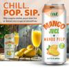 Vinut 100% Mango Juice with Pulp (16.57 fl oz, Pack of 12), No Sugar Added, All Nature Mango Juice, Not From Concentrate, Gluten Free, GMO-Free, High Calcium, Iron view 4