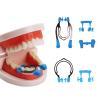 Dental Matrices Clip, Dental Sectional Contoured Matrices Clip, Metal Spring Clip Rings Matrices Clamps, High Temperature Resistant Matrix Clamp.-B view 2