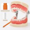 Lurrose Reusable Portable Toothpick 100pcs Eyebrow Lamination Brush Interdental for Between Gum Toothpicks for Brush Picks Clean Stainless Steel 304 Eyebrow Brush Cleaner view 4