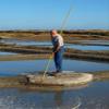 Celtic Sea Salt Sel De Guerande Gros Coarse 1Kg Eco Packaging view 2