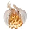 Garlic 1000mg Softgel (High Strength) Odourless 120 view 2