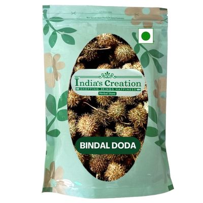 India's Creation Bindaal Doda-Luffa Echinata-Raw Herbs-Bandal Phal-Thorn Gourd-Devdali-Jadi Booti-Single Herbs 50 Gram