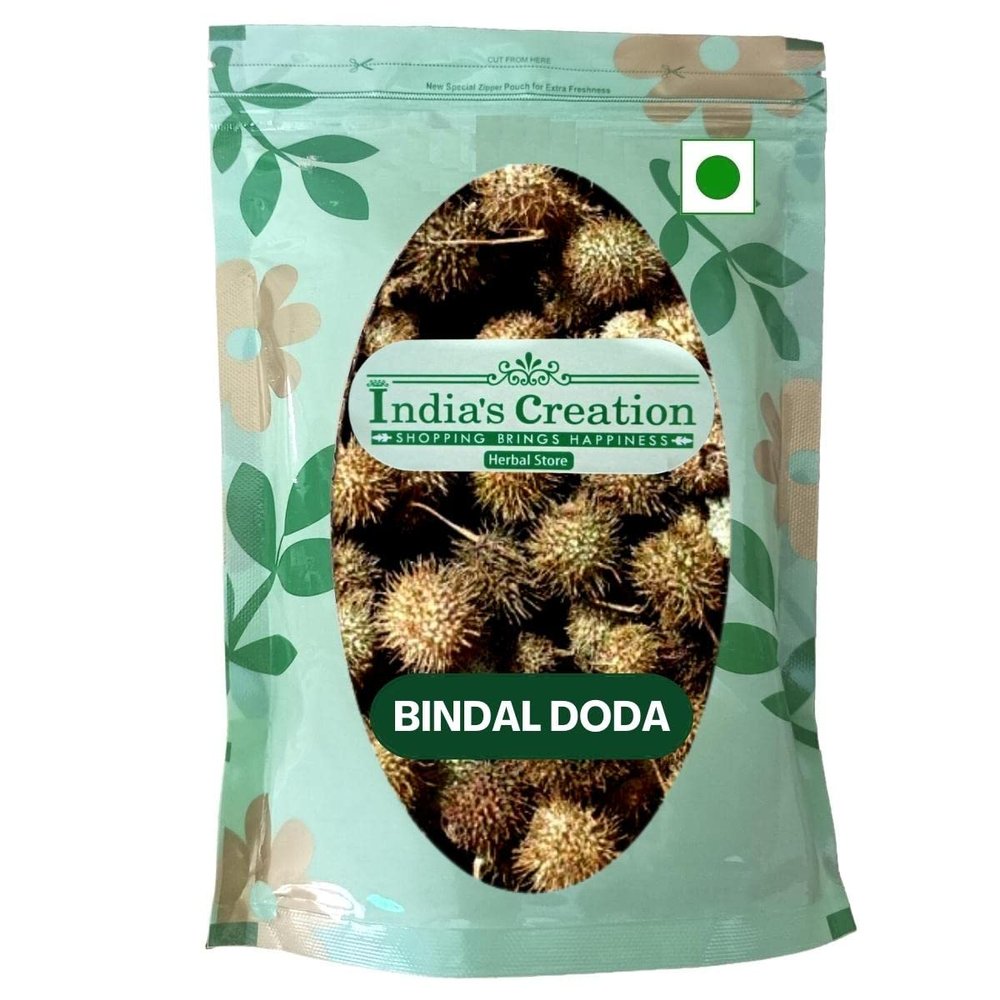 India's Creation Bindaal Doda-Luffa Echinata-Raw Herbs-Bandal Phal-Thorn Gourd-Devdali-Jadi Booti-Single Herbs 50 Gram