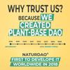 NATURDAO Plus DAO Enzyme 3,000,000 HDU per Day - Perfect Dosage with 1,000,000 HDU per Tablet (3 Tablets/Day) + 8 Co-Factors & Adjuvants, Quercetin, Catalase, Vitamins, Copper & Zinc view 2