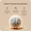 Vilgain Iron + Vitamin C | Synergistic Combination for Immune System | Energy & Fatigue Control | Bioavailable Iron | 100% Daily Dose Vegan | No Unwanted Additives | 90 Capsules view 4