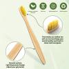 10 Pack Rainbow Bamboo Toothbrushes | Biodegradable & Compostable Eco-Friendly Natural Bamboo Charcoal Toothbrushes | BPA Free Soft Bristles Wooden Toothbrush - 100% RECYCLED PACKAGING (Rainbow) view 3