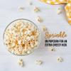 EASY YUMMY - Blue Cheese Popcorn Seasoning 300g, 100% Blue Cheese Popcorn Flavouring view 4