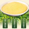 Chinese inatant yam corn paste soup, yogurt fruit grains Oatmeal, black sesame walnut black bean powder, sweet snacks, nutritious substitute breakfast Congee, coarse grain (Corn paste 500g,1 can) view 3