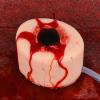 Skillssist Wound Packing Task Training Kit to Bleed Control Tourniquet for Medical Education, First Aid Emergency Pracitce, Military Trauma Trainer view 4