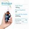 Mullein Leaf Liquid Drops - 120ml - 4 Month Supply - High Strength - Vegan - 120 Servings - Premium Mullein Leaf Extract - 6,000mg per Bottle - Fast Absorption - UK Made by Balance (2X Pack) view 2