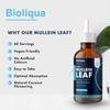 Mullein Leaf Liquid Drops - 120ml - 4 Month Supply - High Strength - Vegan - 120 Servings - Premium Mullein Leaf Extract - 6,000mg per Bottle - Fast Absorption - UK Made by Balance (2X Pack) view 3