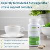 Igennus Advanced Ashwagandha KSM-66 Stress Support Complex 600mg with L-Theanine & Magnesium, B-Vitamins & Zinc, Clean Label, Root-only Extract 5% Withanolides, Vegan, 30 Servings view 2