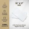 2 Ply Premium Dinner Napkin 1/8 Fold (Package of 100ct) 15" x 17" view 2