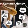 Black Bee Honey - Pure British Summer Honey, Runny with a Rich Heady Floral Flavour, Unprocessed, Single Source from Hive to Jar, Never Blended - Delicious on Toast, Soothing in Drinks, 1Kg Tub view 2