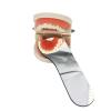 5Pc Dental Automatic Anti-Fog Mirrors Intraoral Mirror Photography Mouth Mirror Occlusal Reflector view 3