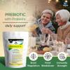 Physis Bio Cultures Blend Prebiotics | 30 Capsules | Pre and Probiotics for Gut Health | Bio Cultures Complex for Improved Digestion | Concentrated Lactobacillus Acidophilus Probiotics | Refill view 2
