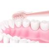 ZUMAHA Pink Kids Toothbrush, Manual Toothbrush with Suction Base, Pack of 2 Infant Silicone Toothbrushes for Ages 1-3 Years view 4