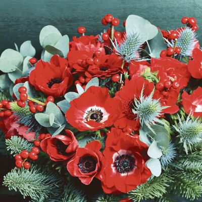 20 Napkins Christmas Anemone in Arrangement as Table Decoration Paper Napkins with Motif Also for Decoupage and Decoupage 33 x 33 cm