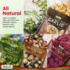 DJ&A Vegetable Crisps Multipack by Broadway Candy - 5 Pack, Delicious Vegan Crisps Snack, No Artificial Flavours - Resealable Crisps Share Bag view 4