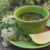 Alpi Nature Organic Yarrow Tea 500g 1.1 lb, Dried and Cut Yarrow Herb, Loose Herbal Tea view 4
