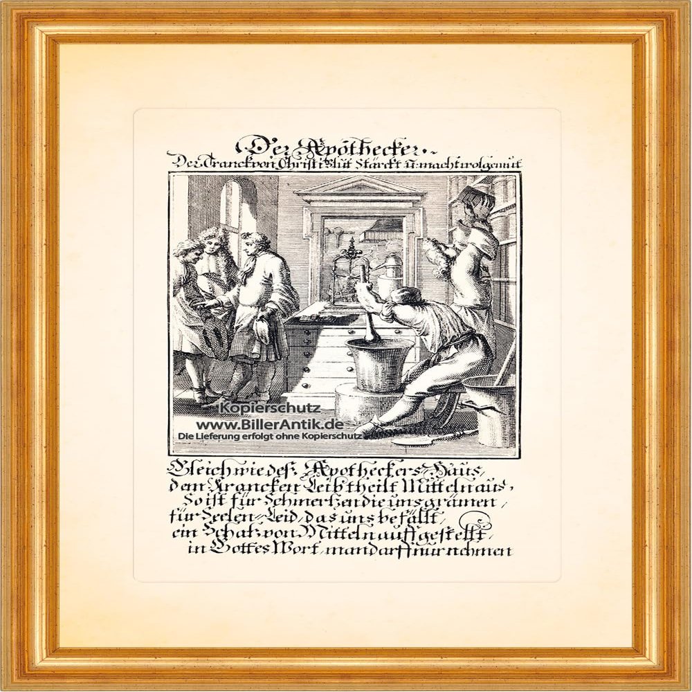 Biller Antik Der Apotheker Pharmacy Medizin Arznei Copper Engraving Christoph Weigel Berufe 006