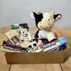 Cow gift box view 1