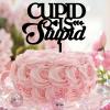 Cupid Is Stupid Cake Topper Bride to Be Eucalyptus Wreath Leaf Birthday Cupcake Topper Love Themed White Diamond Ring Party Anniversary Food Picks Cake Decorations Cute Gifts for Adults Girls view 1
