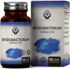 EN Bifidobacterium Probiotics | 90 High Strength Bifidobacterium Probiotic Capsules - 5 Billion CFU Bifi per Capsule | Non-GMO, Gluten & Allergen Free | Manufactured in The UK view 1