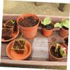 ABOOFAN 50pcs Leakage Soil Mesh Mat for Grey Plant Pot Indoor Outdoor Plant Pot Bottom Netting Pad view 4