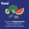 Kwai Blood Pressure 30 Tablets (Pack of 3)  Potassium Supports Normal Blood Pressure  Magnesium Contributes to Muscle Function  One A Day Supplement view 3