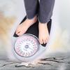 GLazzy Extra-High Capacity Mechanical Bathroom Scales, Large Analog Dial, Mechanical Scale Manual Zero Adjustment Design for Accurate Measurement view 2