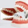 5Pcs Intraoral Dental Photography Mirror Teeth Mouth Reflector Photography Mirror Dental Tools view 2