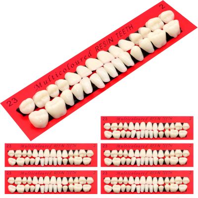 Scettar 6 Pieces Acrylic Resin Fake Teeth, False Tooth Dental Denture False Teeth Synthetic Polymer Resin Denture Teeth for Halloween Makeup Teach Practice DIY Cosplay Costume Party Ornament Supplies