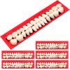 Scettar 6 Pieces Acrylic Resin Fake Teeth, False Tooth Dental Denture False Teeth Synthetic Polymer Resin Denture Teeth for Halloween Makeup Teach Practice DIY Cosplay Costume Party Ornament Supplies view 1