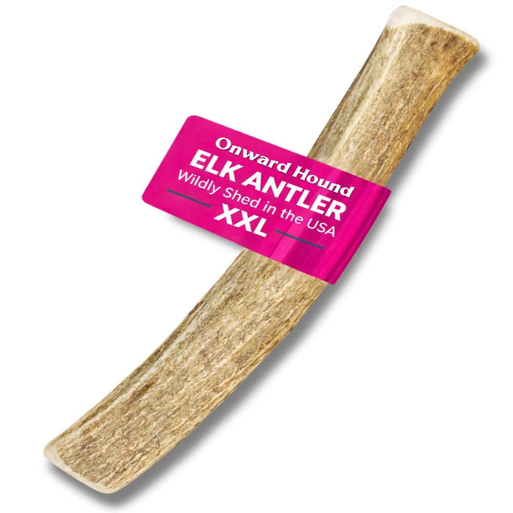 Onward Hound - Elk Antler Chew for Dogs, XXL Pack, 1 Pack, Grade A Deer Antlers Naturally Shedding for Dogs, Boredom, Dog A
