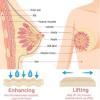 Dyceco Breast Enhancement Lifting Ampoule Serum Breast Enhancement Oil Breast Enhancement Oil Fast Growth Nourishing Breast Enhancement view 4