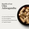 Puresport Ultra Ashwagandha KSM-66 (30 Day Supply), High Strength Supplement with Holy Basil, Magnesium & Zinc, Improves Resilience, Physical Performance, Hormonal Balance and Cognitive Performance view 3