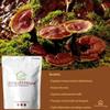 UKHealthHouse Reishi Mushroom Extract | 1,000mg (10:1) Ganoderma Lucidum Reishi Mushroom Capsules Polysaccharides & Beta Glucans Supplement Extracted (240 caps) view 4