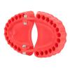 Denture Drill Organizer 3D Sculpture Easy Access Denture Screwdriver Organizer 28 Holes for Gardening (Without Bits) view 2