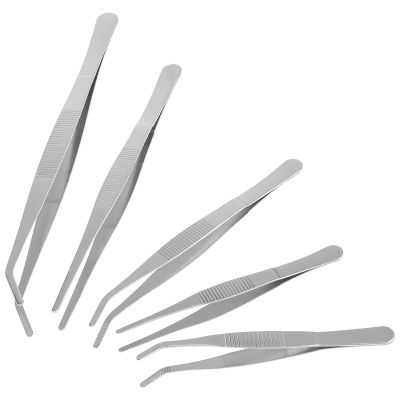 FOMIYES Gardening Tweezers Set of 5 Stainless Steel Planting Tools for Succulent Gardening Mixed Sizes Lightweight and Safe for Micro-Landscape Moss Ornament Indoor Garden and Lawn