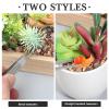 FOMIYES Gardening Tweezers Set of 5 Stainless Steel Planting Tools for Succulent Gardening Mixed Sizes Lightweight and Safe for Micro-Landscape Moss Ornament Indoor Garden and Lawn view 3