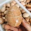 AOHRO Natural crystal rough Natural Magic Natural Peach Moonstone Sphere Quartz Crystal Stone Eggs Reiki Decoration Gift view 1