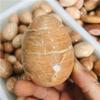 AOHRO Natural crystal rough Natural Magic Natural Peach Moonstone Sphere Quartz Crystal Stone Eggs Reiki Decoration Gift view 2